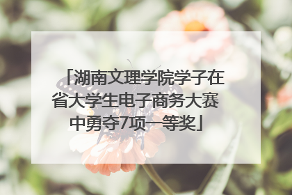 湖南文理学院学子在省大学生电子商务大赛中勇夺7项一等奖